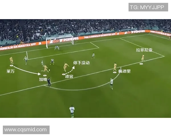 深圳羽毛球队速度对比深度解析与战术优势探讨